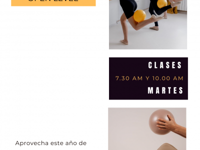 CLASES DE BARRE Open Level